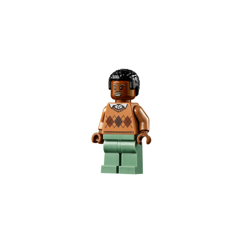 Robbie Robertson Lego® - sh0716