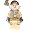 Rebel Trooper