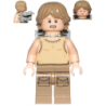 Luke Skywalker (Dagobah
