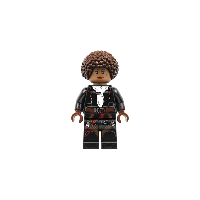 Val Lego® - sw0953