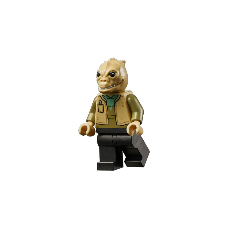 Hrchek Kal Fas Lego® - sw1130