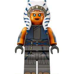 Ahsoka Tano (Adult) - Printed Arms