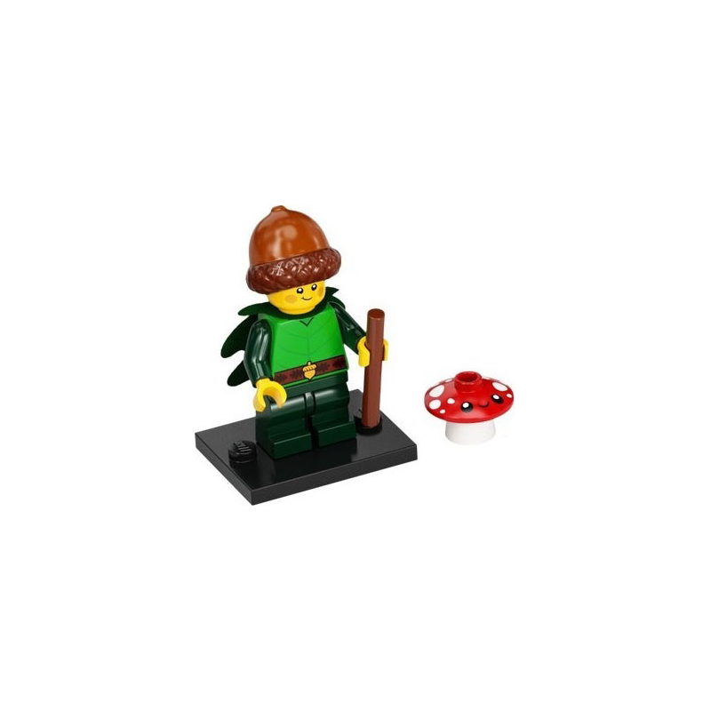 Forest Elf Série 22 Lego® - col22-8