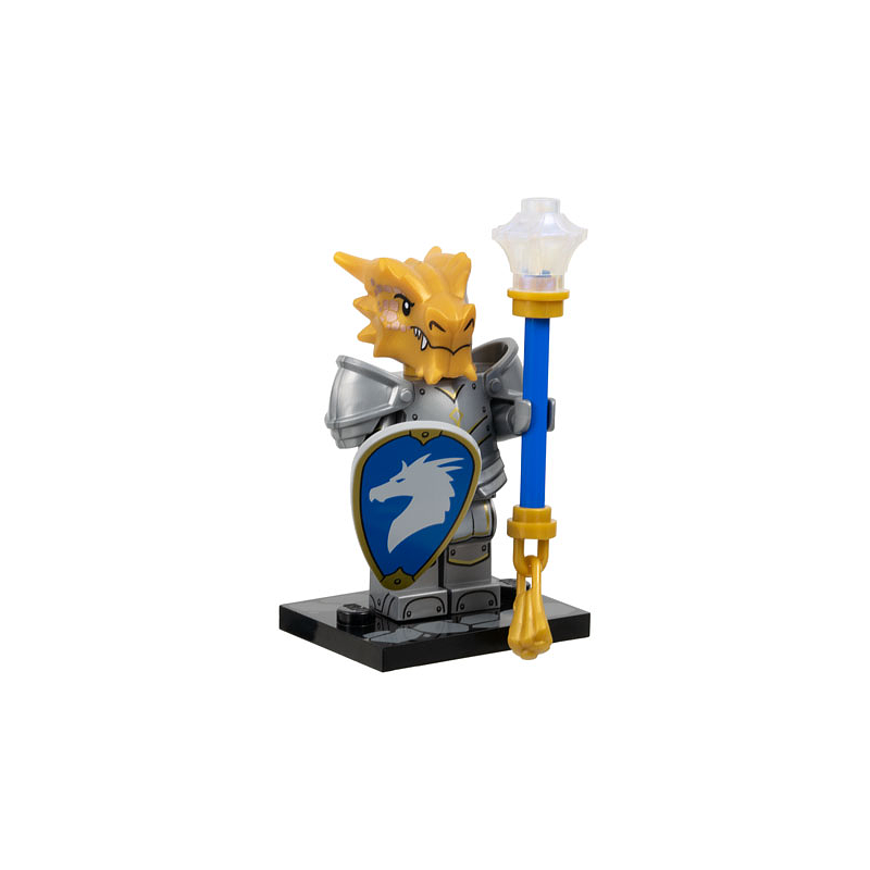 Dragonborn Paladin Série Donjons et Dragons Lego® - coldnd-4