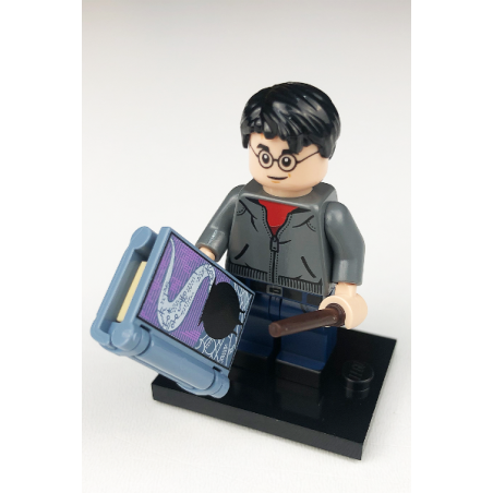 Harry Potter Série Harry Potter Lego® - colhp2-1