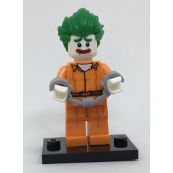 Arkham Asylum Joker Lego® - coltlbm-8