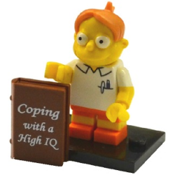 Martin Prince Lego® - colsim2-8
