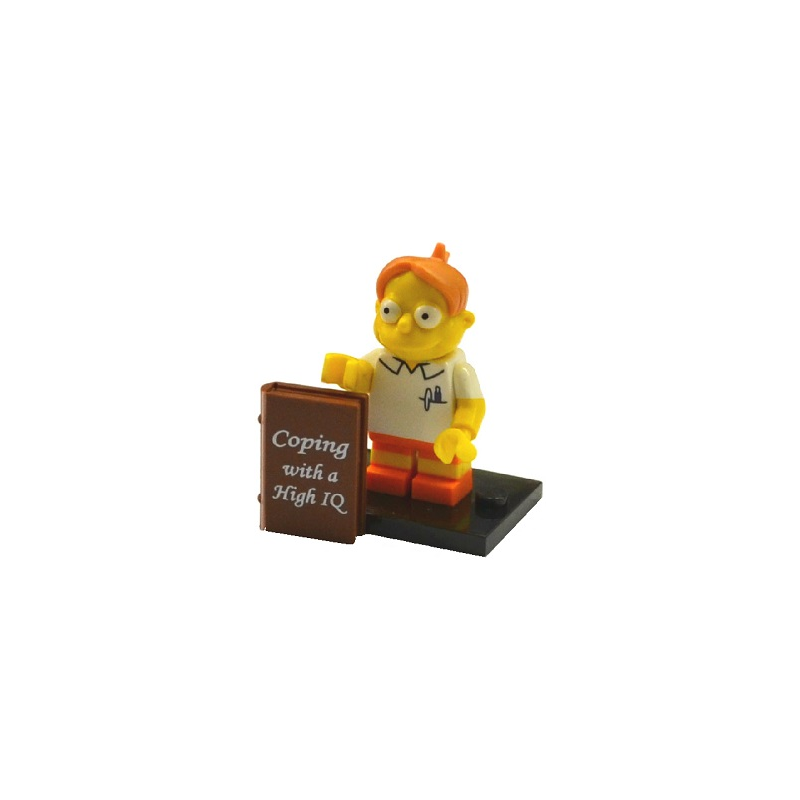 Martin Prince Lego® - colsim2-8