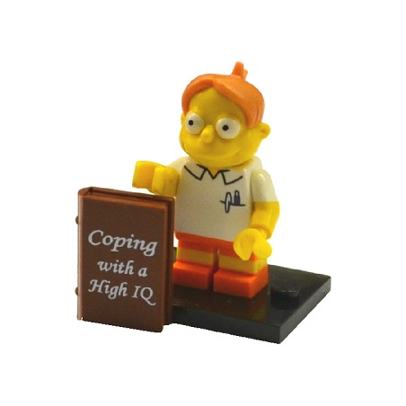 Martin Prince Lego® - colsim2-8