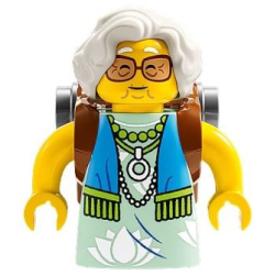 Mrs. Castillo - Reddish Brown and Flat Silver Backpack Lego® - drm031
