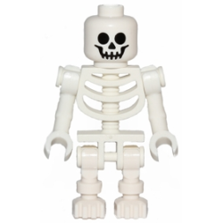 Skeleton - Standard Skull