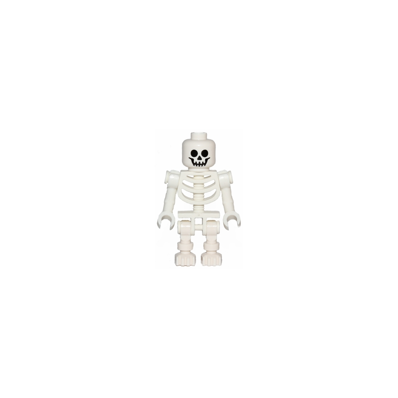 Skeleton - Standard Skull