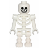 Skeleton - Standard Skull
