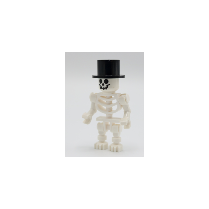 Skeleton - Standard Skull
