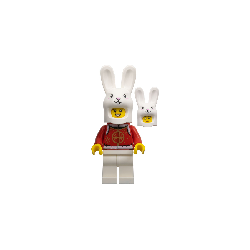 Year of the Rabbit Girl Lego® - hol310