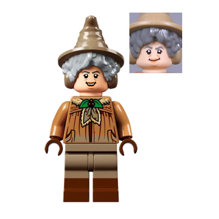 Professor Pomona Sprout - Dirty Cloak