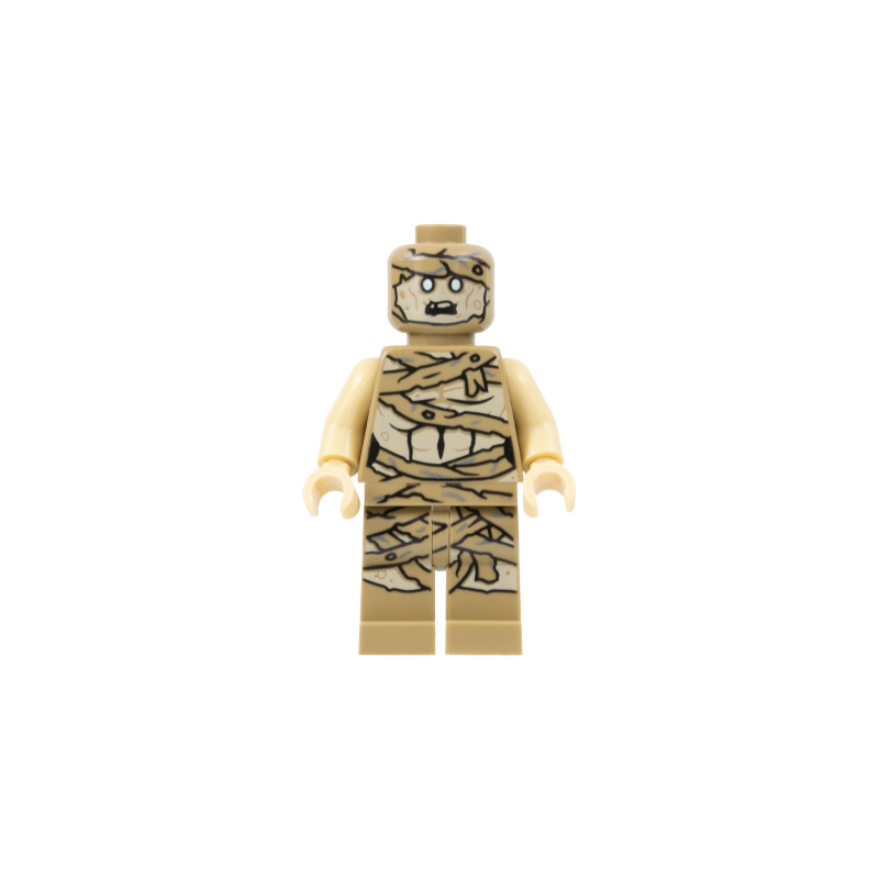 Mummy Lego® - iaj052