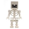 Skeleton