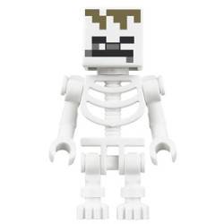 Skeleton