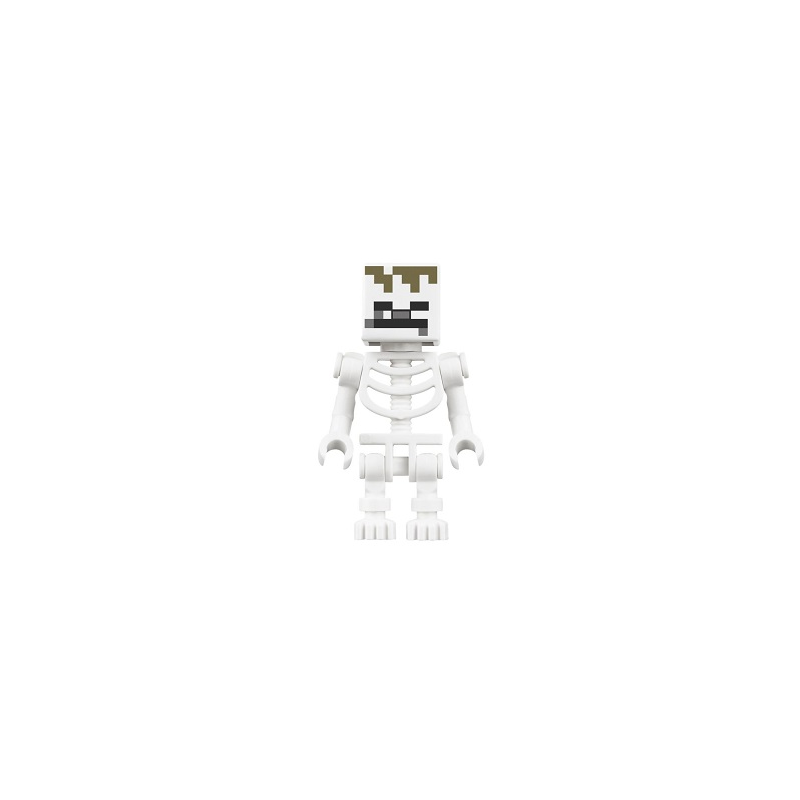 Skeleton