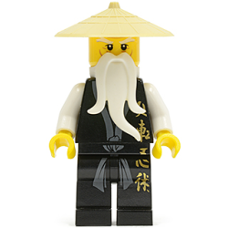 Wu Sensei - Black Kimono with Gold Symbols