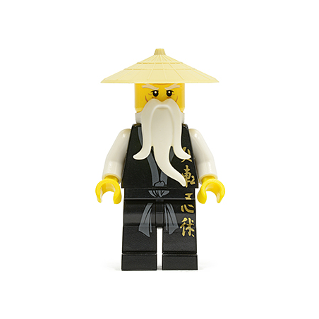 Wu Sensei - Black Kimono with Gold Symbols