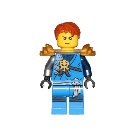 Jay (Honor Robe) - Day of the Departed