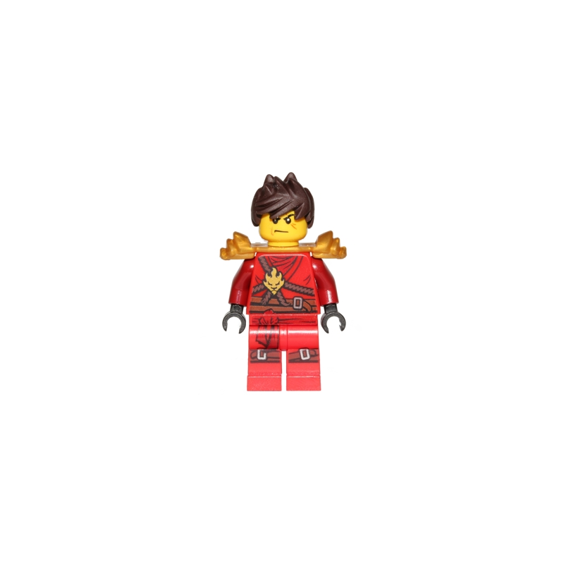 Kai (Honor Robe) - Day of the Departed
