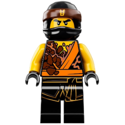 Cole (Spinjitzu Masters) - Sons of Garmadon Lego® - njo408