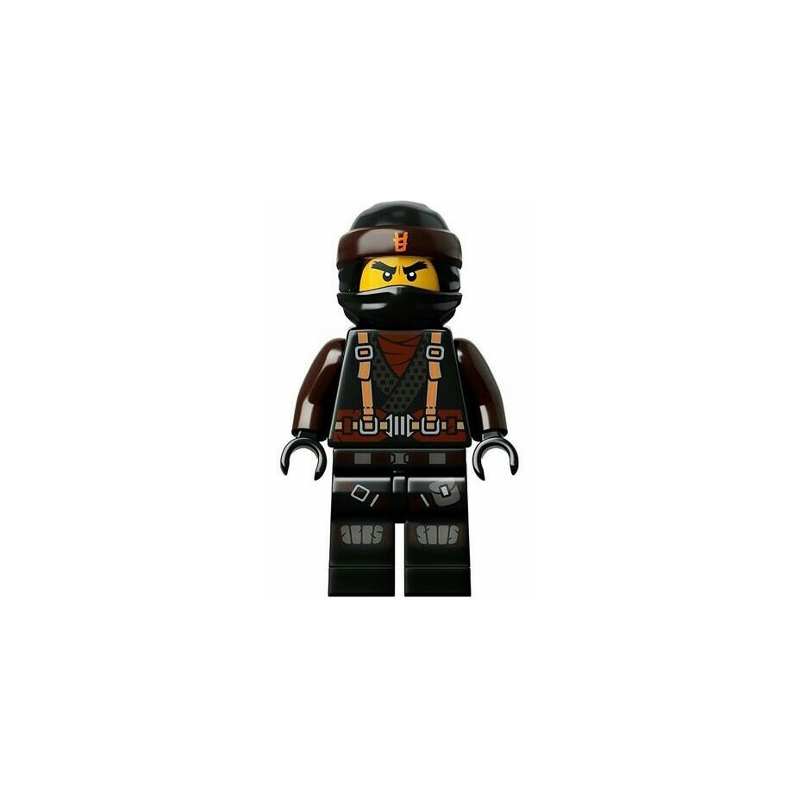 Cole (Dragon Masters) - Hunted Lego® - njo449
