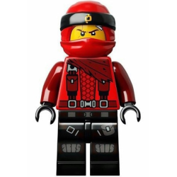 Kai (Dragon Masters) - Hunted Lego® - njo452