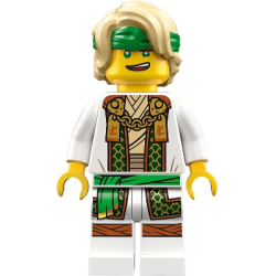 Lloyd - Master Lloyd Lego® - njo853