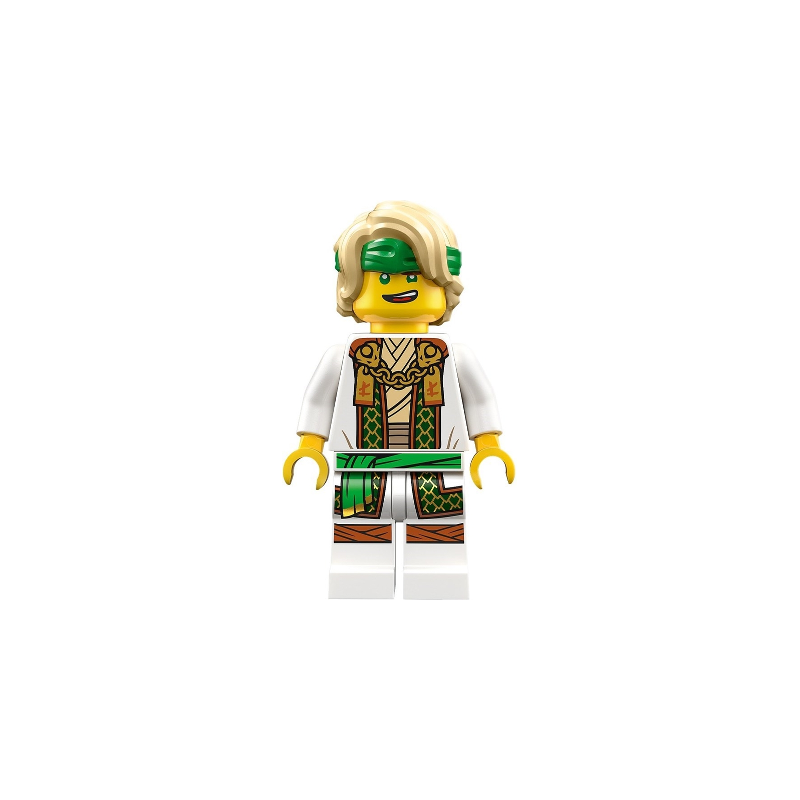 Lloyd - Master Lloyd Lego® - njo853