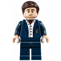 Bruce Wayne - Ascot and Button Down Shirt Lego® - sh0235