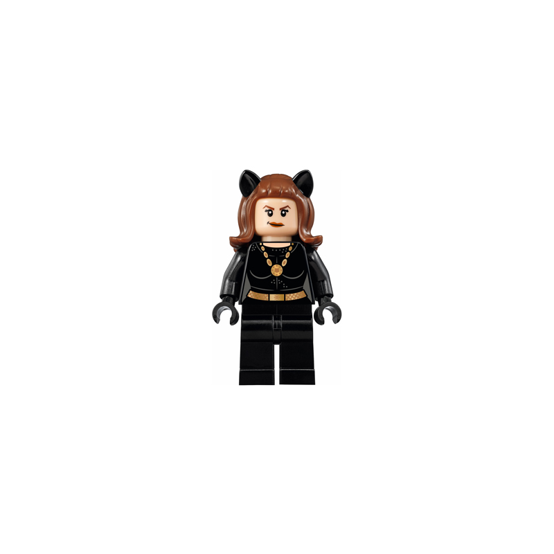 Catwoman - Classic TV Series Lego® - sh0241