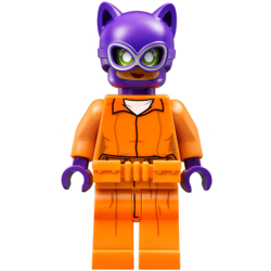Catwoman - Orange Prison Jumpsuit Lego® - sh0338